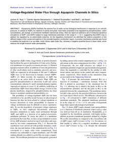 Voltage-Regulated Water Flux through Aquaporin Channels In Silico