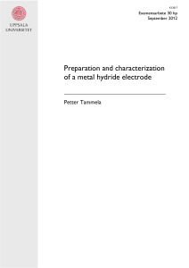 Preparation and characterization of a metal hydride electrode