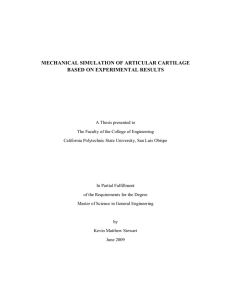 mechanical simulation of articular cartilage based on experimental