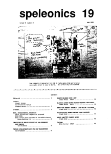 Speleonics #19 (1993) - National Speleological Society