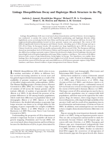 Linkage Disequilibrium Decay and Haplotype Block