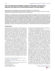 Fast Two-Dimensional Bubble Analysis of Biopolymer Filamentous