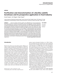 Purification and characterization of a Bacillus subtilis keratinase and