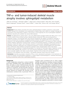 TNF-α- and tumor-induced skeletal muscle atrophy involves