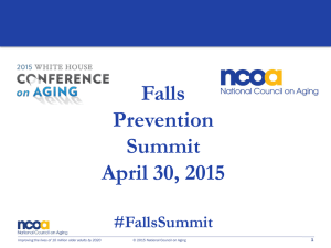 Falls Prevention Summit April 30, 2015