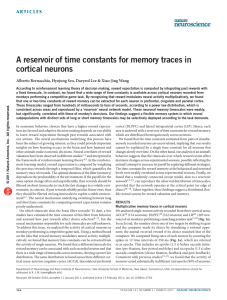 A reservoir of time constants for memory traces in cortical neurons