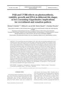 PAR and UVBR effects on photosynthesis, viability, growth and DNA