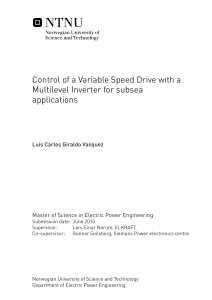 Control of a Variable Speed Drive with a Multilevel Inverter