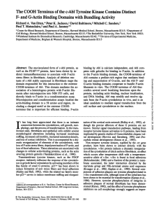 The COOH Terminus of the c-Abl Tyrosine Kinase Contains Distinct