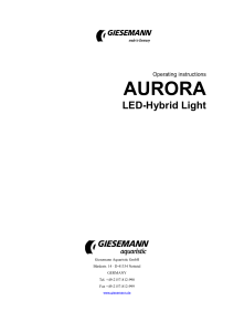 aurora - Giesemann