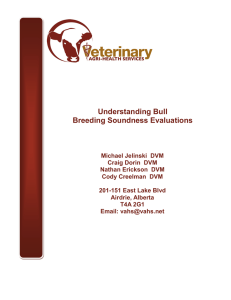 Understanding Bull Breeding Soundness Evaluations