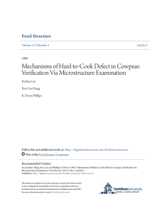 Mechanisms of Hard-to-Cook Defect in