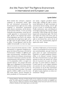 Are We There Yet? The Right to Environment in International and