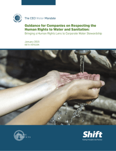 Guidance for Companies on Respecting the Human Rights to Water