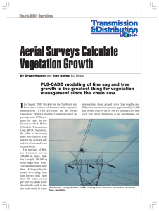 Aerial Surveys Calculate Vegetation Growth