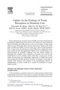 Update on the Etiology of Tooth Resorption in Domestic Cats