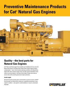 Products that are available to keep your Cat Natural Gas Engine up