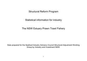 The NSW Estuary Prawn Trawl Fishery