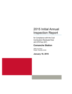 Comanche Plant 2015 CCR Landfill Annual Inspection Report