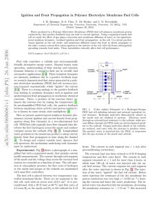 Ignition and Front Propagation in Polymer Electrolyte Membrane