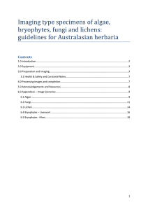 Imaging type specimens of algae, bryophytes, fungi and lichens
