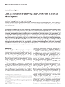 Cortical Dynamics Underlying Face Completion in