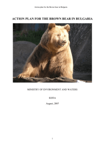 ACTION PLAN FOR THE BROWN BEAR IN BULGARIA