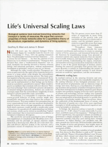 Life`s Universal Scaling Laws
