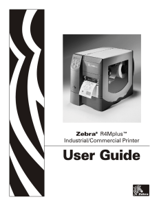 R4Mplus User Guide