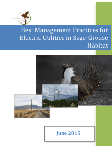 Best Management Practices for Electric Utilities in Sage