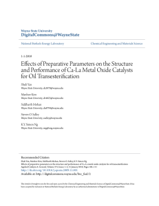 Effects of Preparative Parameters on the Structure and