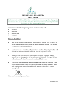Pediculosis Fact Sheet - ST Worden Public School