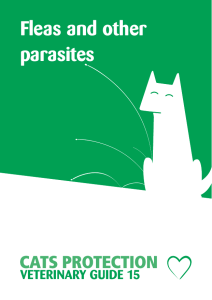 Fleas and other parasites