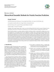 Hierarchical Ensemble Methods for Protein Function Prediction