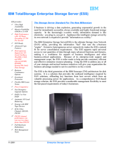 IBM TotalStorage Enterprise Storage Server (ESS)