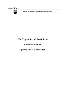 2004 Vegetable and Small Fruit Research
