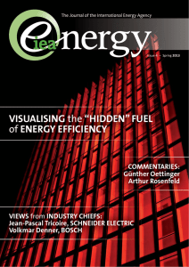 "Hidden" Fuel of Energy Efficiency