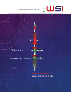 Wellhead Systems Inc. Casing and Tubing Heads Tubing Heads