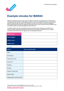 Marac minutes checklist
