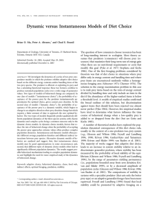 Dynamic versus Instantaneous Models of Diet Choice