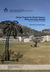 Design Program for Dessie Campus, Wollo University, Ethiopia