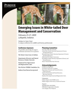 Emerging Issues in White-tailed Deer
