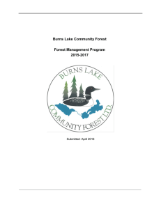 Burns Lake Community Forest Forest Management Program 2015