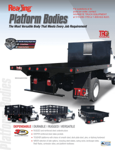 Platform Bodies - hawkeyetruckequipment.com