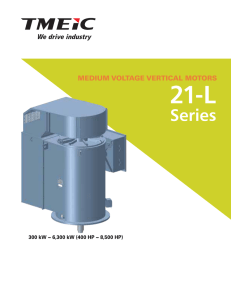 medium voltage vertical motors