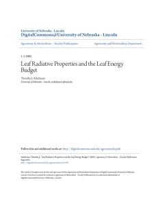 Leaf Radiative Properties and the Leaf Energy Budget