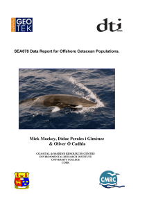 SEA678 Data Report for Offshore Cetacean Populations.
