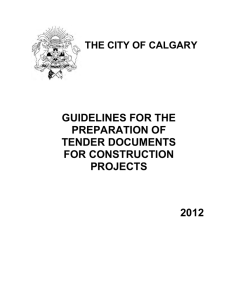 Guidelines for the Preparation of Tender Documents