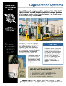 Cogeneration Systems - Gammill Electric, Inc