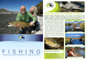 new zealand fly fishing guiding
